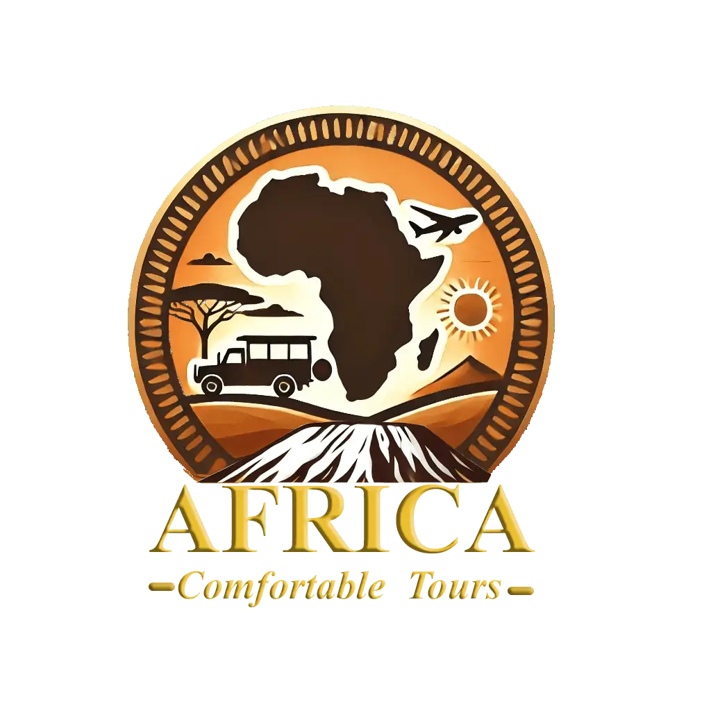 africa comfortable logo2