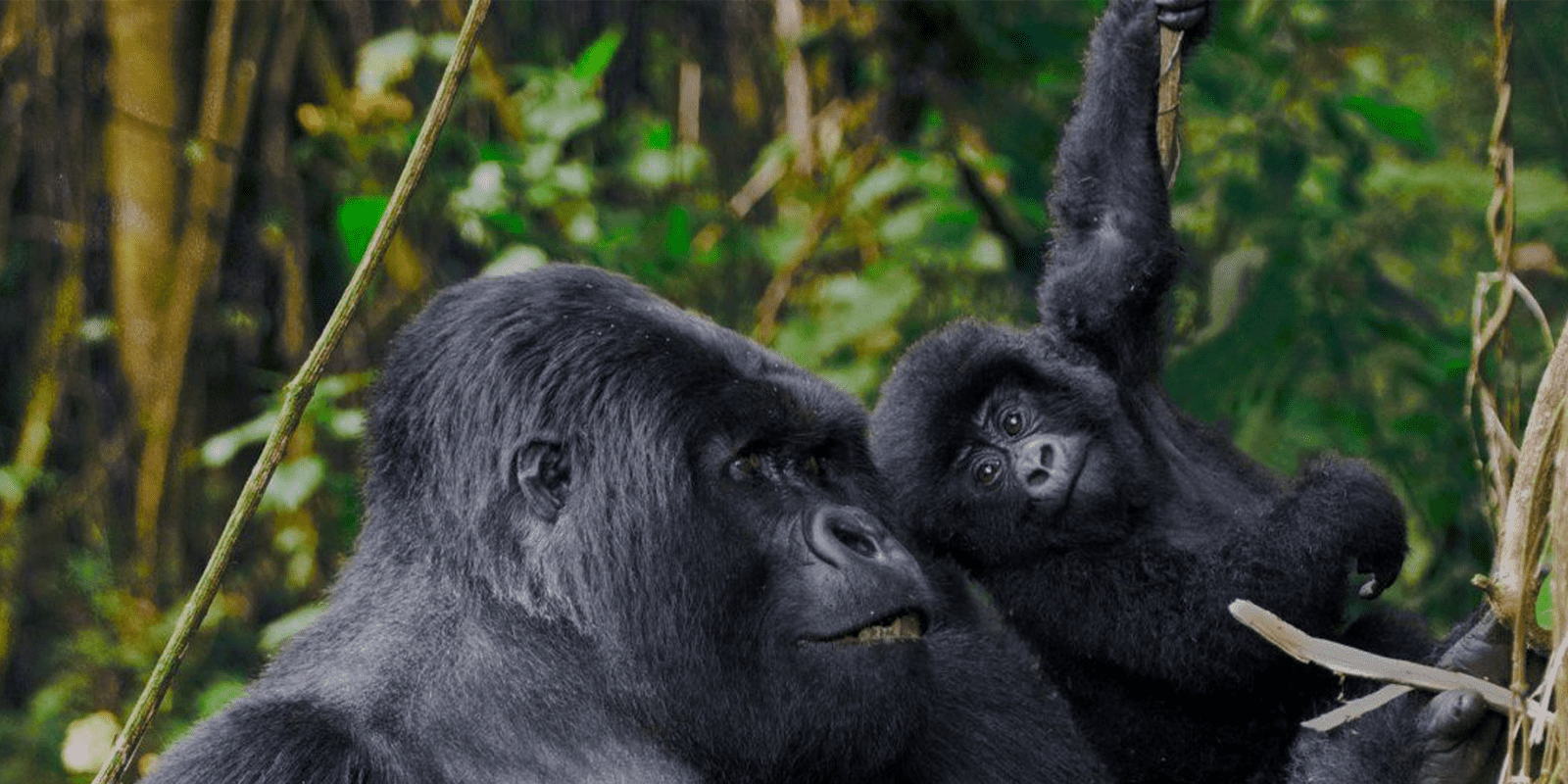Rwanda