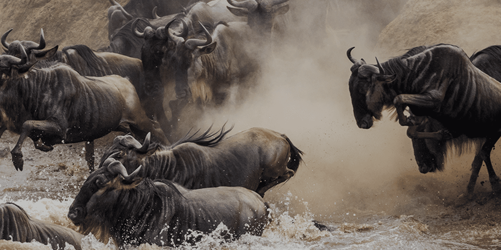 Serengeti Migration